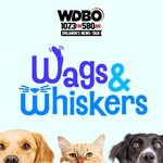 Logo of the podcast Wags and Whiskers Podcast Wags and Whiskers