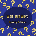 Podcast Wait- But Why?