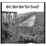 Logo of the podcast Wait What Was That Sound? Podcast Wait What Was That Sound?