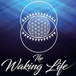 Logo of the podcast Waking Life Podcast Podcast Waking Life Podcast