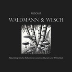 Waldmann & Wesch Podcast Waldmann & Wesch