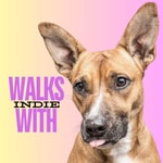 Logo of the podcast Walks With Indie Podcast Walks With Indie