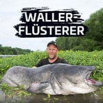 Logo of the podcast Waller-Flüsterer Podcast Waller-Flüsterer