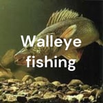 Logo of the podcast Walleye fishing Logo of the podcast Walleye fishing