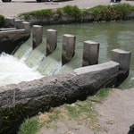 Logo of the podcast Watermanagement in Urban Areas Missing podcast logo