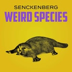 Weird Species