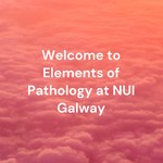 Logo of the podcast Welcome to Elements of Pathology at NUI Galway - Class Podcasts Podcast Welcome to Elements of Pathology at NUI Galway - Class Podcasts