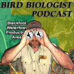 Logo of the podcast Western Bird Biologist Podcast Western Bird Biologist