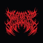 Logo of the podcast What Are You Jamming? Podcast What Are You Jamming?