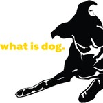 Logo of the podcast What is dog Podcast What is dog