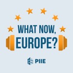 Logo of the podcast What Now, Europe? Podcast What Now, Europe?