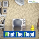 Logo of the podcast What The Flood Podcast What The Flood