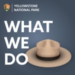 Podcast What We Do
