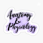 Logo of the podcast What&Why: Anatomy&Physiology Edition Podcast What&Why: Anatomy&Physiology Edition