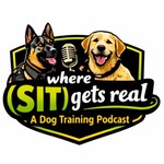 Logo of the podcast Where "SIT" Gets Real Podcast Where "SIT" Gets Real