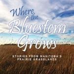 Logo of the podcast Where the Bluestem Grows Podcast Where the Bluestem Grows