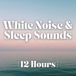 Logo of the podcast White Noise and Sleep Sounds (12 Hours) Logo of the podcast White Noise and Sleep Sounds (12 Hours)