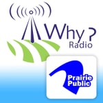 Podcast WHY? Philosophical Discussions About Everyday Life