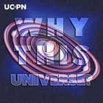 Logo of the podcast Why This Universe? Podcast Why This Universe?