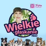 Logo of the podcast Wielkie Głaskanie Podcast Wielkie Głaskanie