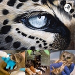 Podcast Wild About Rescue