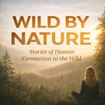 Logo of the podcast Wild By Nature: Stories of Human Connection To The Wild Podcast Wild By Nature: Stories of Human Connection To The Wild