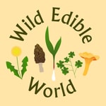 Logo of the podcast Wild Edible World: A Foraging Podcast Podcast Wild Edible World: A Foraging Podcast