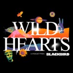 Wild Hearts Podcast Wild Hearts