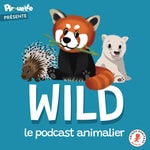 Wild, le podcast animalier Wild, le podcast animalier