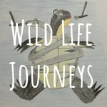 Logo of the podcast Wild Life Journeys Podcast Wild Life Journeys