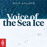 Wild Sounds: Kākāpō Files II Wild Sounds: Kākāpō Files II