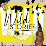 Podcast Wild Stories