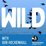 Podcast WILD: The Warwickshire Wildlife Trust Podcast