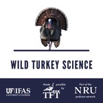 Logo of the podcast Wild Turkey Science Podcast Wild Turkey Science