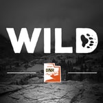 Logo of the podcast Wild Podcast Wild