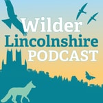 Logo of the podcast Wilder Lincolnshire Podcast Podcast Wilder Lincolnshire Podcast
