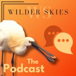 Logo of the podcast Wilder Skies the podcast Podcast Wilder Skies the podcast