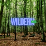 Logo of the podcast Wildernext Podcast Wildernext
