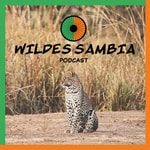Wildes Sambia Wildes Sambia