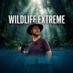 Logo of the podcast Wildlife Extreme - Der Podcast von Nils Wildlife Travel Podcast Wildlife Extreme - Der Podcast von Nils Wildlife Travel