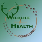 Wildlife Health Connections Wildlife Health Connections