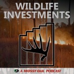 Logo of the podcast Wildlife Investments Podcast Wildlife Investments