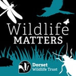 Wildlife Matters Podcast Wildlife Matters