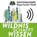 Logo of the podcast Wildnis schafft Wissen – Einblicke in den Nationalpark Bayerischer Wald Podcast Wildnis schafft Wissen – Einblicke in den Nationalpark Bayerischer Wald