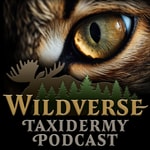 Logo of the podcast Wildverse Podcast Wildverse