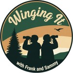 Logo of the podcast Winging It! with Frank and Sammy Podcast Winging It! with Frank and Sammy