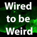 Logo of the podcast Wired to be Weird Podcast Wired to be Weird