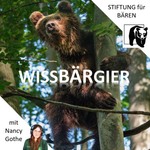 Logo of the podcast WissBärGier Podcast WissBärGier