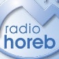Logo of the podcast Wochenkommentar Podcast Wochenkommentar