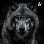 Logo of the podcast Wolf Life Podcast Wolf Life